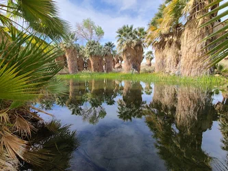 Coachella Valley Preserve